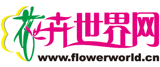 花卉世界网