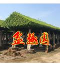 广东省中山市盆趣园