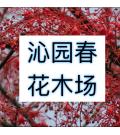 广东省中山市沁园春花木场
