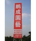 佛山市顺德区鹏成园艺