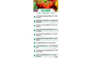 20个花卉品牌候选云南省绿色食品“10大名品” 