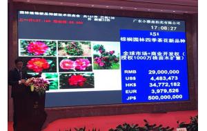 再创新高,植物新品种标王2900万元,花落谁家? 再创新高,植物新品种标王2900万元,花落谁家?