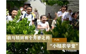 小镇活动 | “桔场时光”拍了拍“你”，7月4号/5号【我与桔田有个芳香之约】解锁年桔新玩法