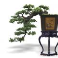 苍龙探海