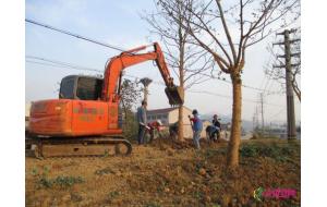 福建厦门：园林绿化施工企业信用评价出炉 