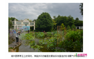 柳州园博园第四届水生花卉展启幕