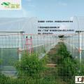 大棚案例分享，清远连栋大棚，8米跨度温室