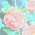 茶花