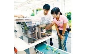 天津杨柳青园艺博览园正式开放 园艺苗木自动嫁接