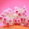 三八妇女节送鲜花给爱人，母亲