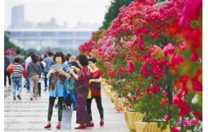 深圳第十届公园文化节正式拉开帷幕