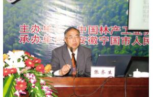 “以竹胜木”，实现竹产业战略转移