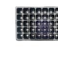育苗穴盆-50孔（PS材料）