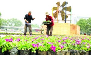 武汉300万盆鲜花迎嘉宾