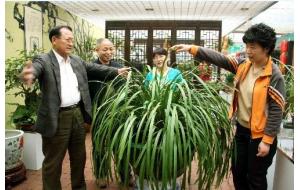 “军中花王”王延明花卉珍品展在北京举办