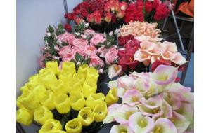 2009IPM植物展系列报道 —— 高端仿真花与真花同台竞艳