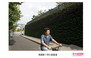 南昌出现首个绿化垂直墙