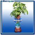 水培花卉花瓶 凯奇盆艺水培花瓶