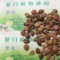 黄花腊肠树
