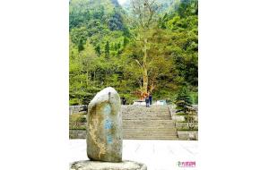 贵州：印江“紫薇王”入选中国“最美古树名木”
