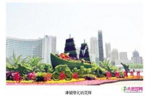 天津“玩转”立体绿化 美哭你