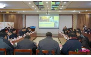雄安新区列出“树种名录”建议 城市森林建设优先选择 雄安新区列出“树种名录”建议 城市森林建设优先选择