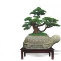 雄风飘逸