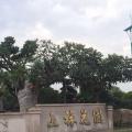 荔枝
