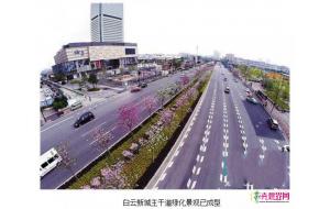 广州白云区“森林大道”景观成型“颜值高”