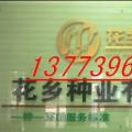 合欢