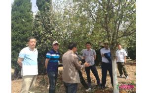 滇苗协今日启程调研乡土苗木种植情况 