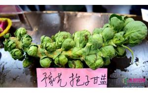 河南农大园艺文化节：萝卜白菜都是水果味！