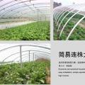 温室工程