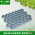 植草格