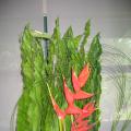 现代插花