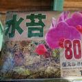 水苔