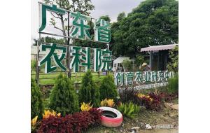 活动回顾 | Farmscool植物小医生聘任上岗