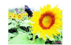 长沙首届园林生态节于本月中旬在长沙园林生态园举行