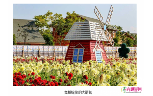 8万株大丽花绽放昆明捞渔河湿地公园