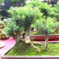 绣花针