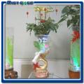 电子水培花瓶 水培容器 高档水培器皿 水培花瓶 水培花卉组合 水培盆景 花鱼共养水培花瓶