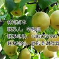 梨