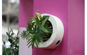 植物展