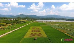 深入实施乡村振兴战略，书写好中华民族伟大复兴的“三农”新篇章 