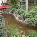 生态植物工程实例
