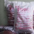 君子兰精品土