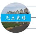 设施农业，无土栽培，湖南种植蔬菜的优势