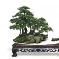 翠染山林