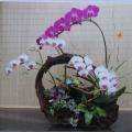 花盆