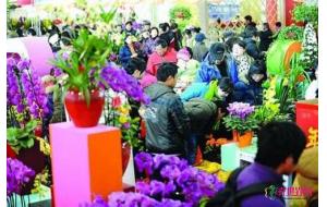 西安将举办年宵花卉展销活动